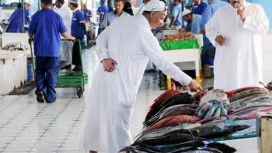 السعوديات يخترقن قطاع العمل في صيد السمك وبيعه