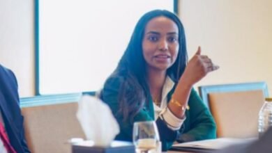 صورة توضيحية - سيدة الأعمال Asia Ibrahim النفط و الغاز أولوية لحكومات الدول الكبرى في ظل الوضع الإقتصادي العالمي