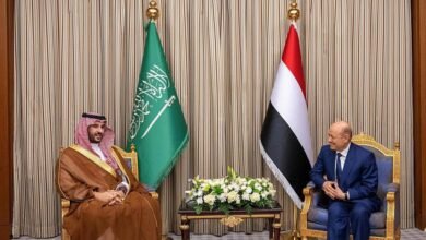 وزير الدفاع السعودي والعليمي يبحثان السلام في اليمن