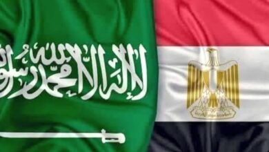 السعودية ومصر تبحثان تعزيز العلاقات التاريخية والاستراتيجية الثنائية
