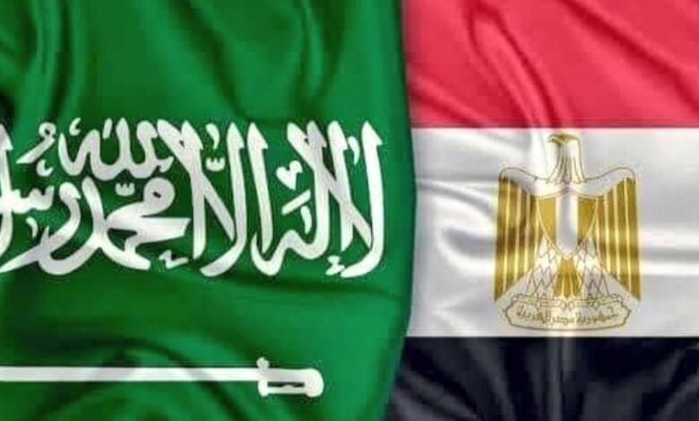 السعودية ومصر تبحثان تعزيز العلاقات التاريخية والاستراتيجية الثنائية