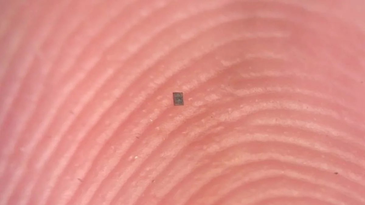 صورة مميزة: أصغر روبوت قابل للبرمجة في العالم بالكاد يمكن رؤيته ScienceAle
