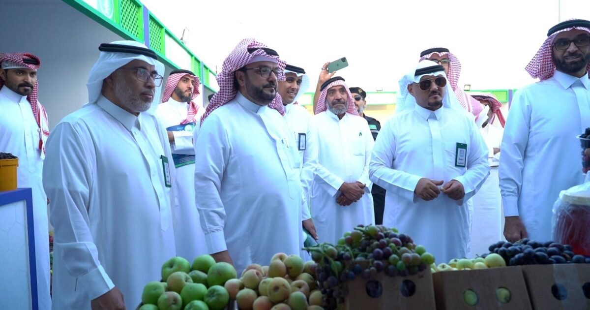 الوزارة تؤكد حاجة المزارعين إلى تمويل لتحديث البساتين ودعم التصدير