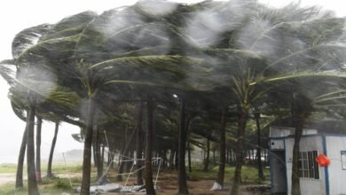 تايتشو تحدد نحو 52 ألف شخص يحتاجون إلى الإجلاء مع اقتراب ساوديل