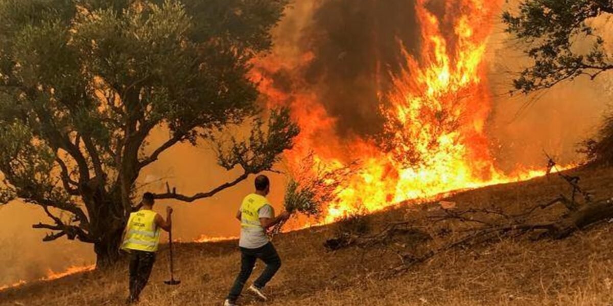 الحرائق في الجزائر تودي بحياة 34 شخصاً