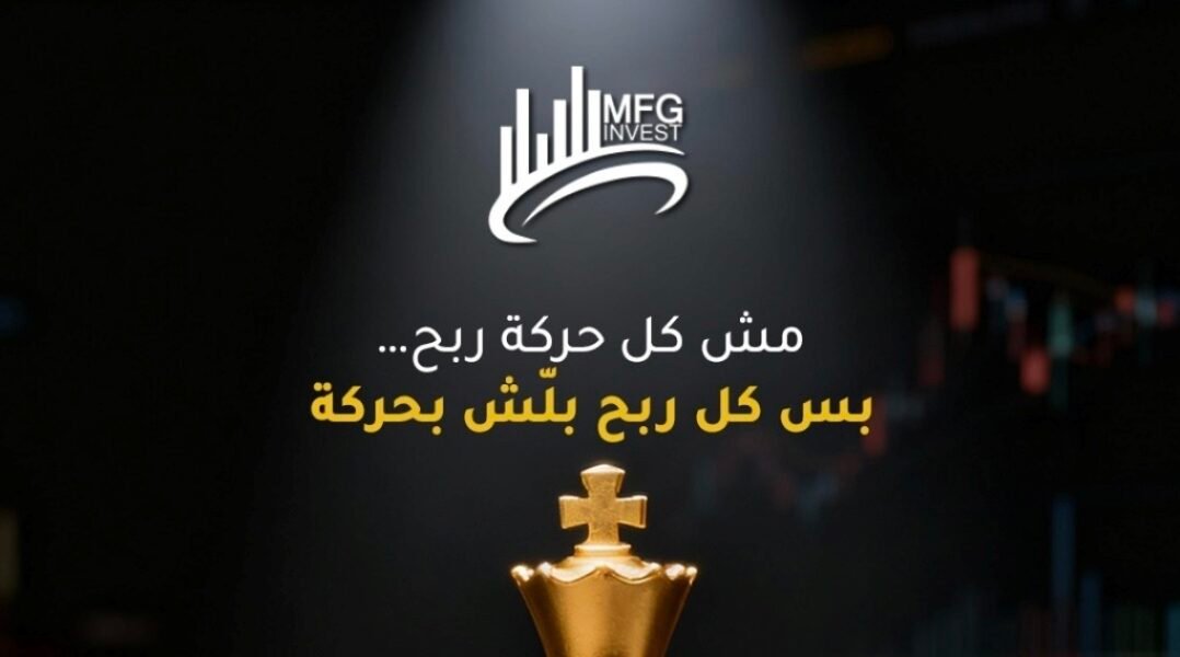 شركة MFGinvest معلومات أساسية للمستثمرين