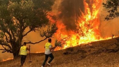 الحرائق في الجزائر تودي بحياة 34 شخصاً