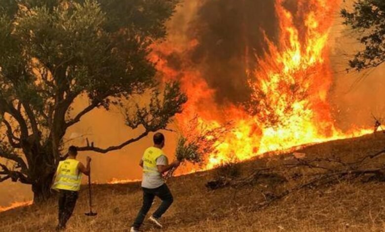 الحرائق في الجزائر تودي بحياة 34 شخصاً