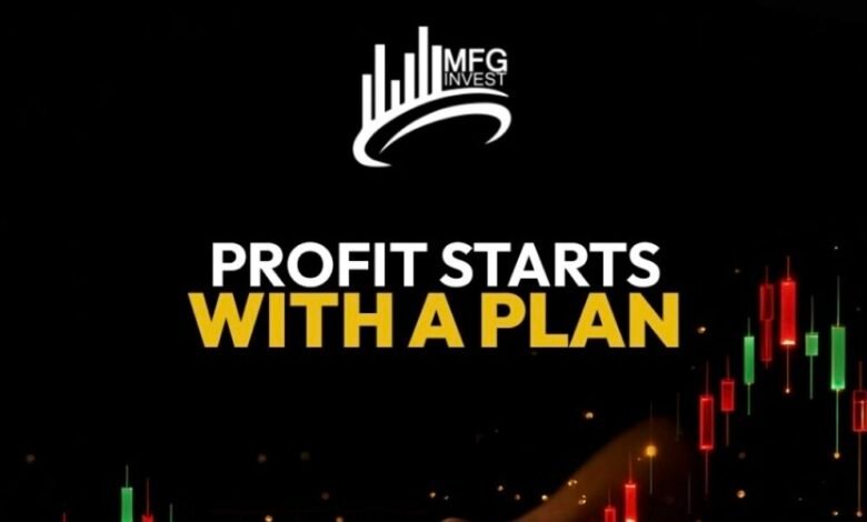 شركة MFGinvest معلومات أساسية للمستثمرين