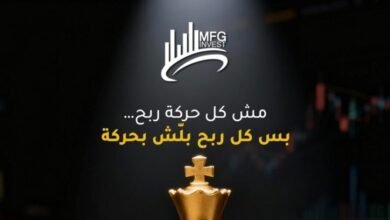 شركة MFGinvest معلومات أساسية للمستثمرين